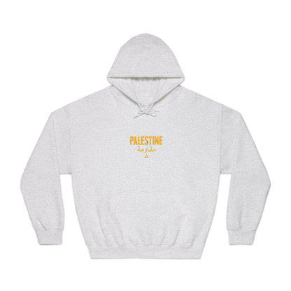 Unisex DryBlend® Hooded Sweatshirt